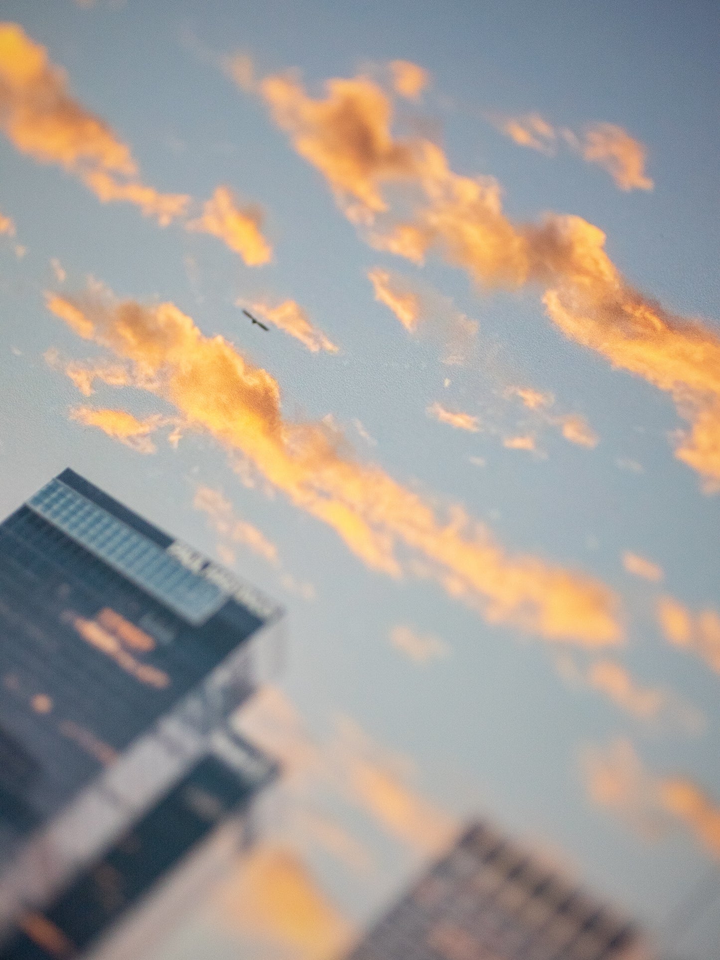 #015 Signature Series - "Golden Era" Poster