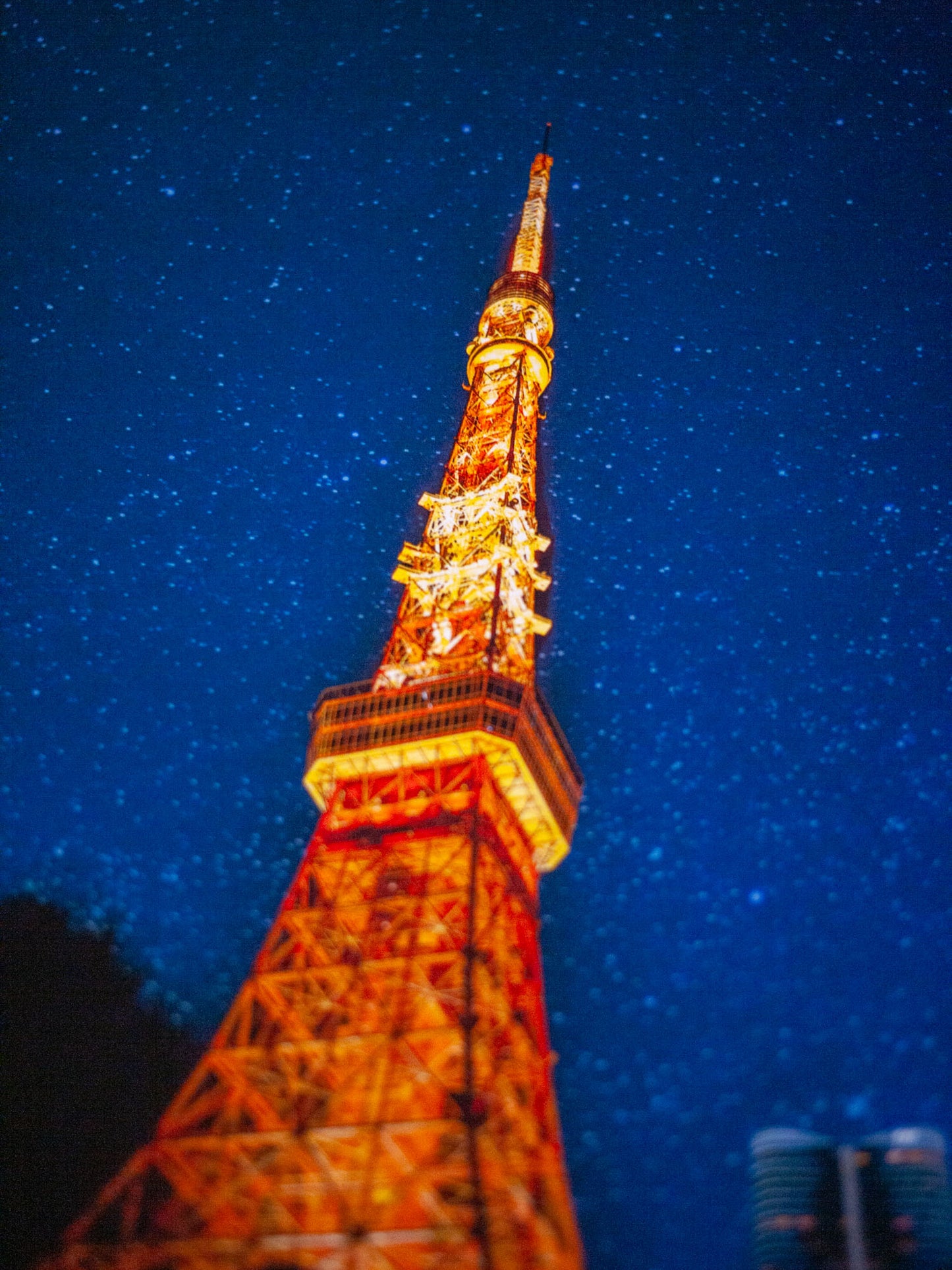 Tokyo Tower 2025 Poster